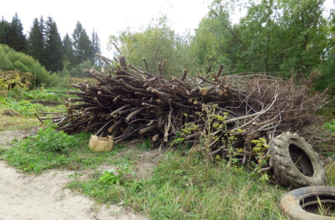 В Соликамском округе расчищено порядка 1,2 километра русла реки Козловка